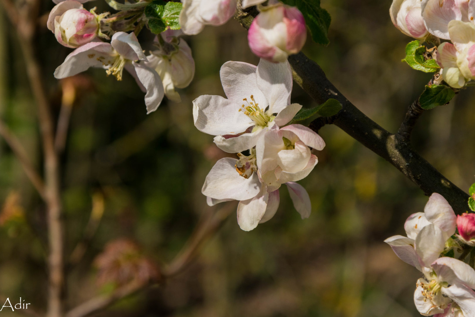 Nos projets pour bientôt