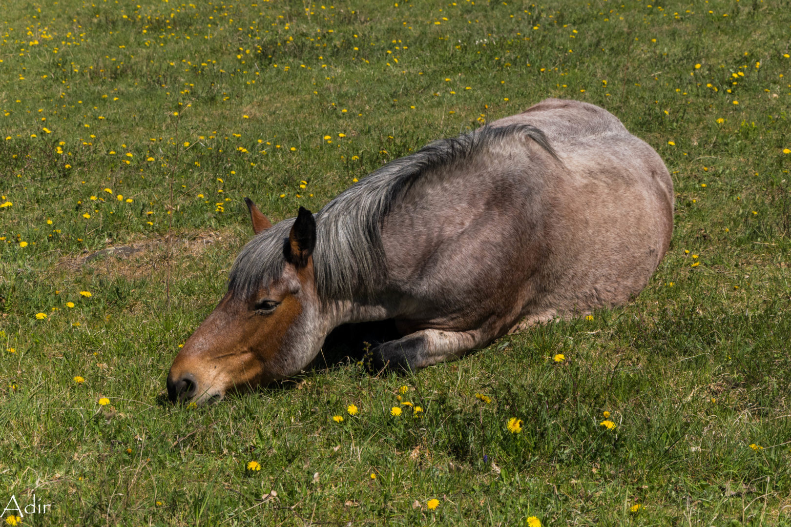Nos activités pour cette année